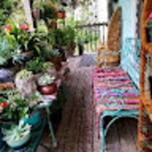 Meet your Posher, Patty